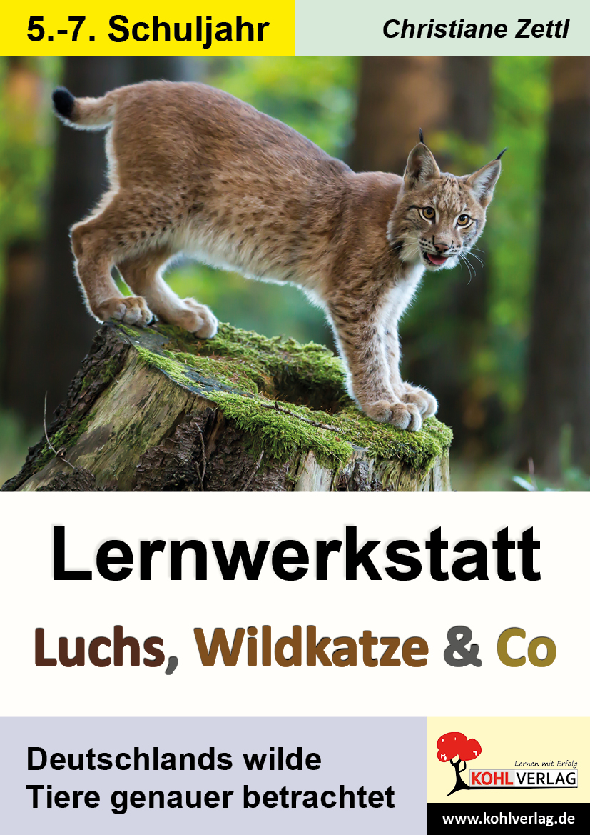 Lernwerkstatt Luchs, Wildkatze und Co